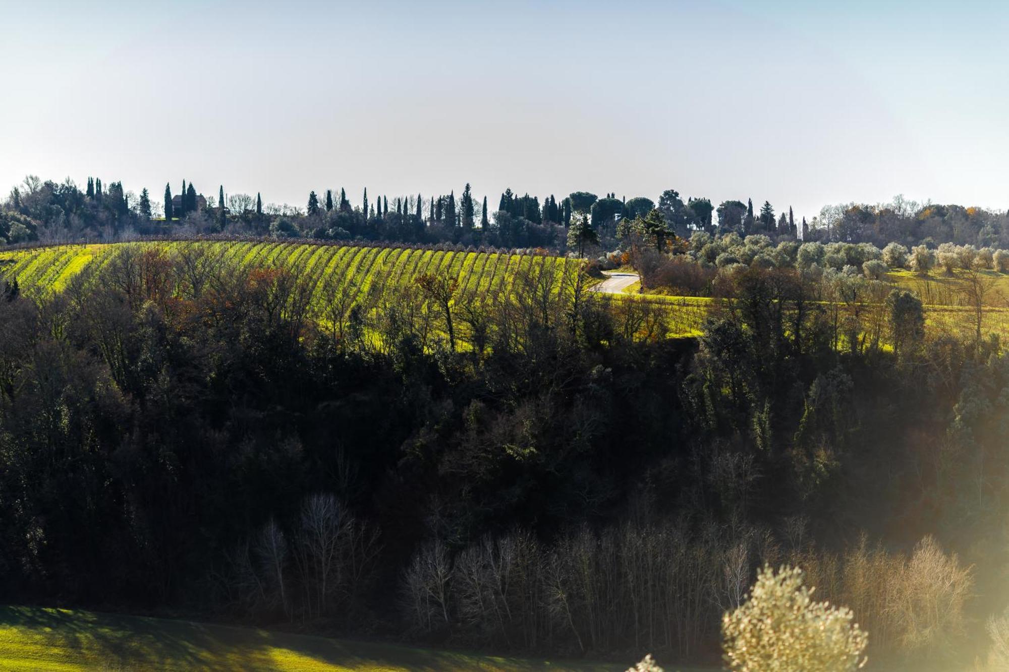 Borgo Il Poggio Agritourismo Villa Montaione Exterior photo